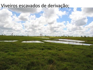 Viveiros escavados de derivação;
 