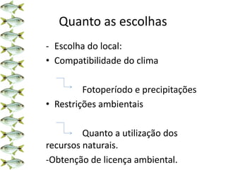 Quanto as escolhas
- Escolha do local:
• Compatibilidade do clima
Fotoperíodo e precipitações
• Restrições ambientais
Quanto a utilização dos
recursos naturais.
-Obtenção de licença ambiental.
 