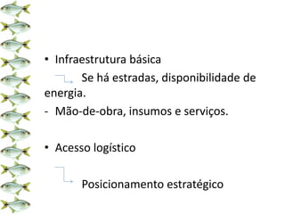 • Infraestrutura básica
Se há estradas, disponibilidade de
energia.
- Mão-de-obra, insumos e serviços.
• Acesso logístico
Posicionamento estratégico
 