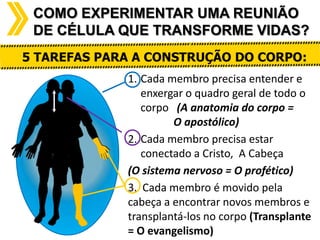COMO EXPERIMENTAR UMA REUNIÃO
DE CÉLULA QUE TRANSFORME VIDAS?
5 TAREFAS PARA A CONSTRUÇÃO DO CORPO:
1. Cada membro precisa entender e
enxergar o quadro geral de todo o
corpo (A anatomia do corpo =
O apostólico)
2. Cada membro precisa estar
conectado a Cristo, A Cabeça
(O sistema nervoso = O profético)
3. Cada membro é movido pela
cabeça a encontrar novos membros e
transplantá-los no corpo (Transplante
= O evangelismo)

 