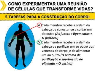 COMO EXPERIMENTAR UMA REUNIÃO
DE CÉLULAS QUE TRANSFORME VIDAS?
5 TAREFAS PARA A CONSTRUÇÃO DO CORPO:
4. Cada membro recebe a ordem da
cabeça de conectar-se e cuidar um
do outro (As juntas e ligamentos =
O pastoral)
5. Cada membro recebe a ordem da
cabeça de purificar um ao outro dos
venenos do corpo, e de alimentar
um ao outro (O sistema de
purificação e suprimento de
alimento = O ensino)

 