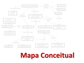 Mapa Conceitual 
 