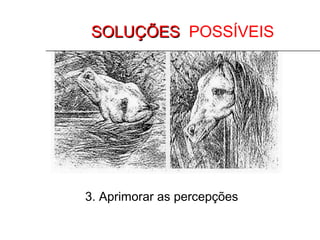 SOLUÇÕES POSSÍVEIS




3. Aprimorar as percepções
 