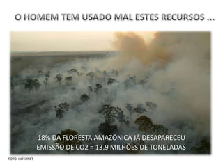 “E disse Deus: Cubra-se a terra de vegetação...”
                                                                Genesis 1:11




                                  2012
                18% DA FLORESTA AMAZÔNICA JÁ DESAPARECEU
                EMISSÃO DE CO2 = 13,9 MILHÕES DE TONELADAS
FOTO INTERNET
 