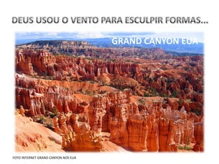 GRAND CANYON EUA




FOTO INTERNET GRAND CANYON NOS EUA
 