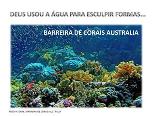 BARREIRA DE CORAIS AUSTRALIA




FOTO INTERNET BARREIRA DE CORAIS AUSTRALIA
 