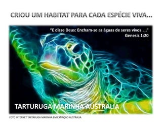 “E disse Deus: Encham-se as águas de seres vivos ...”
                                                                    Genesis 1:20




   TARTURUGA MARINHA AUSTRALIA
FOTO INTERNET TARTARUGA MARINHA EM EXTINÇÃO AUSTRALIA
 