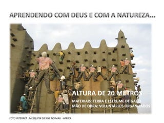 ALTURA DE 20 METROS
                                                   MATERIAIS: TERRA E ESTRUME DE GADO
                                                   MÃO DE OBRA: VOLUNTÁRIOS ORGANIZADOS

FOTO INTERNET : MESQUITA DJENNE NO MALI - AFRICA
 