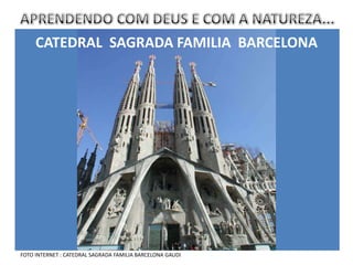 CATEDRAL SAGRADA FAMILIA BARCELONA




FOTO INTERNET : CATEDRAL SAGRADA FAMILIA BARCELONA GAUDI
 