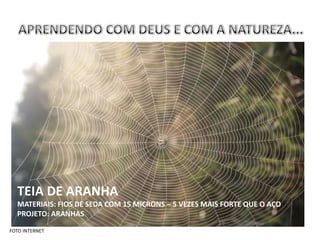 TEIA DE ARANHA
  MATERIAIS: FIOS DE SEDA COM 15 MICRONS – 5 VEZES MAIS FORTE QUE O AÇO
  PROJETO: ARANHAS

FOTO INTERNET
 