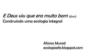 E Deus viu que era muito bom (Gn1,1)
Construindo uma ecologia integral
Afonso Murad
ecologiaefe.blogspot.com
 