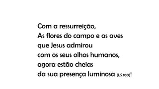 Com a ressurreição,
As flores do campo e as aves
que Jesus admirou
com os seus olhos humanos,
agora estão cheias
da sua presença luminosa (LS 100)!
 