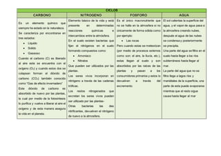 CICLOS
CARBONO NITROGENO FOSFORO AGUA
Es un elemento químico que
siempre ha estado en la naturaleza.
Se caracteriza por encontrarse en
tres estados:
 Líquido
 Solido
 Gaseoso
Cuando el carbono (C) es liberado
al aire este se encuentra con el
oxígeno (O2) y cuando estos dos se
colapsan forman el dióxido de
carbono (CO2) también conocido
como “Gas de efecto invernadero”
Este dióxido de carbono es
absorbido de nuevo por las plantas,
la cual por medio de la fotosíntesis
lo purifica y vuelve a liberar al aire el
oxígeno y de esta manera asegura
la vida en el planeta.
Elemento básico de la vida y está
presente en determinadas
reacciones químicas e
intercambios entre la atmósfera.
En el suelo existen bacterias que
fijan el nitrógenos en el suelo
formando compuestos como:
 Amoniaco
 Nitratos
Que pueden ser utilizados por las
plantas.
Los seres vivos incorporan en
nitrógeno a través de las cadenas
tróficas.
Los restos nitrogenados que
excretan los seres vivos pueden
ser utilizado por las plantas-
Otras bacterias las des
nitrificantes, devuelven el nitrógeno
de nuevo a la atmosfera.
Es el único macronutriente que
no se halla en la atmosfera si no
únicamente de forma sólida como
por ejemplo:
 Las rocas
Pero cuando estas se meteorizan
(por medio de procesos externos
como son: el aire, la lluvia, etc.),
estas llegan al suelo y son
absorbidos por las raíces de las
plantas y pasan a los
consumidores primarios y estos lo
devuelven a través del
excremento.
El sol calientas la superficie del
agua, y el vapor de agua pasa a
la atmosfera creando nubes,
después el agua de las nubes
se condensa y posteriormente
se precipita.
Una parte del agua se filtra en el
suelo hasta llegar a los ríos
subterráneos hasta llegar al
mar.
La parte del agua que no se
filtra llega a lagos ríos y
maniátales de la superficie, una
parte de esta puede evaporarse
mientras que el resto sigue
cause hasta llegar al mar
 
