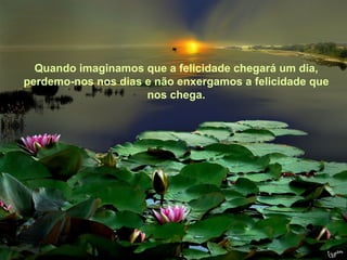 Texto Matriz




  Quando imaginamos que a felicidade chegará um dia,
perdemo-nos nos dias e não enxergamos a felicidade que
                     nos chega.
 