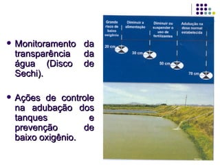    Monitoramento da
    transparência da
    água (Disco de
    Sechi).

   Ações de controle
    na adubação dos
    tanques          e
    prevenção       de
    baixo oxigênio.
 