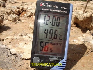 TEMPERATURA 