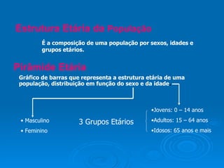 Estrutura Etária da População
         É a composição de uma população por sexos, idades e
         grupos etários.


Pirâmide Etária
 Gráfico de barras que representa a estrutura etária de uma
 população, distribuição em função do sexo e da idade.



                                               •Jovens: 0 – 14 anos
 • Masculino         3 Grupos Etários          •Adultos: 15 – 64 anos
 • Feminino                                    •Idosos: 65 anos e mais
 