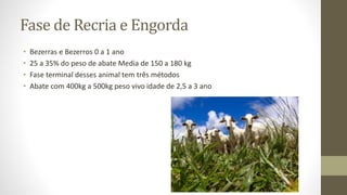 Fase de Recria e Engorda
• Bezerras e Bezerros 0 a 1 ano
• 25 a 35% do peso de abate Media de 150 a 180 kg
• Fase terminal desses animal tem três métodos
• Abate com 400kg a 500kg peso vivo idade de 2,5 a 3 ano
 