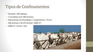 Tipos de Confinamentos
• Exemplo: 100 cabeças
• 7 curraletas com 100 animais;
• 100 animais x 0,7m/cabeça + 3,5(porteira)= 73,5m;
• 100 animais x 10 m²/ animal= 1000 m²;
• 1000 m²: 73,5m= 14m
 