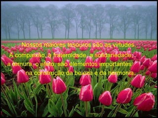 Nossos maiores tesouros são as virtudes.  A compaixão, a fraternidade, a solidariedade,  a ternura, o afeto, são elementos importantes  na construção da beleza e da harmonia.  