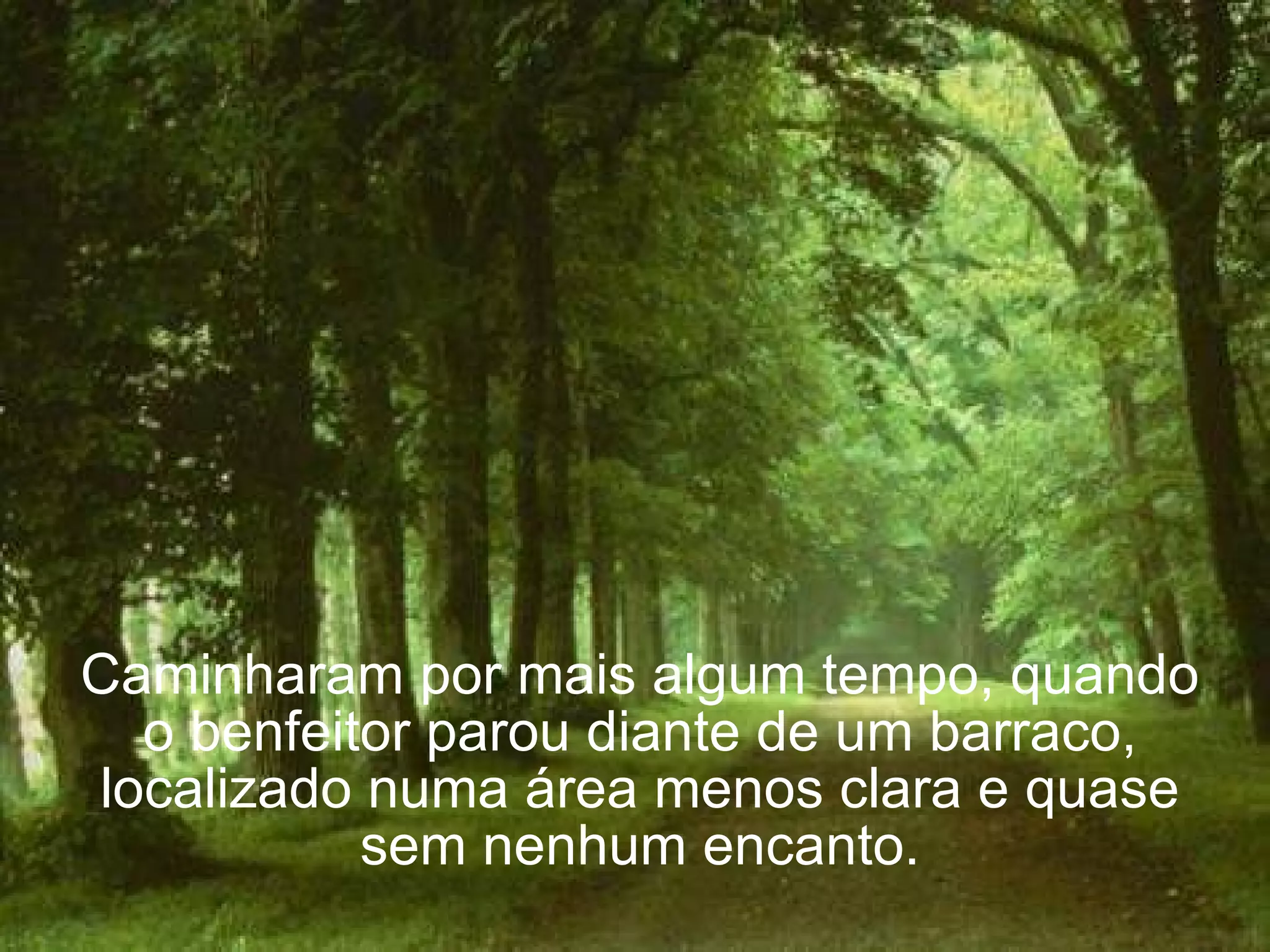 Caminharam por mais algum tempo, quando o benfeitor parou diante de um barraco, localizado numa área menos clara e quase sem nenhum encanto. 