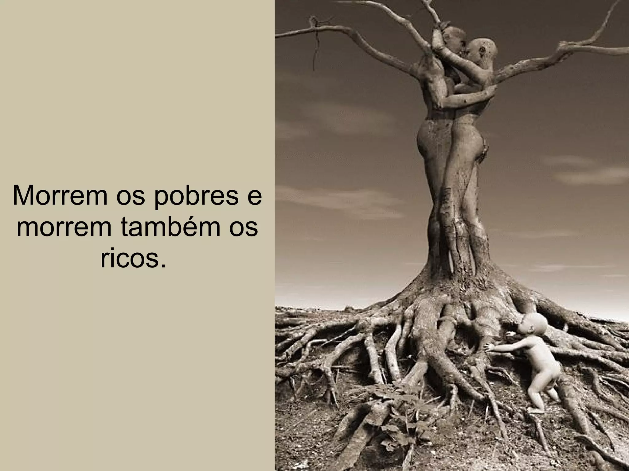 Morrem os pobres e morrem também os ricos.  
