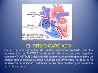 EL RITMO CARDIACO Es el período armónico de latidos cardíacos formado por los movimientos de SISTOLE (contracción del corazón para impulsar sangre) y DIASTOLE (relajación del corazón que permite que se llene de sangre para la sístole). Si estos ruidos no son armónicos (es decir, si no se dan con periodicidad), entonces no hay ritmo cardíaco y se denomina  arritmia cardiaca. 