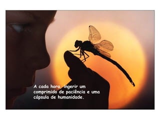 A cada hora, ingerir um
comprimido de paciência e uma
cápsula de humanidade.
 