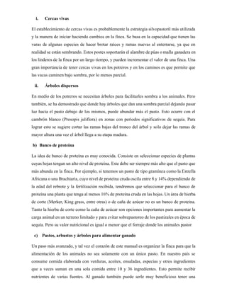 i. Cercas vivas
El establecimiento de cercas vivas es probablemente la estrategia silvopastoril más utilizada
y la manera de iniciar haciendo cambios en la finca. Se basa en la capacidad que tienen las
varas de algunas especies de hacer brotar raíces y ramas nuevas al enterrarse, ya que en
realidad se están sembrando. Estos postes soportarán el alambre de púas o malla ganadera en
los linderos de la finca por un largo tiempo, y pueden incrementar el valor de una finca. Una
gran importancia de tener cercas vivas en los potreros y en los caminos es que permite que
las vacas caminen bajo sombra, por lo menos parcial.
ii. Árboles dispersos
En medio de los potreros se necesitan árboles para facilitarles sombra a los animales. Pero
también, se ha demostrado que donde hay árboles que dan una sombra parcial dejando pasar
luz hacia el pasto debajo de los mismos, puede abundar más el pasto. Esto ocurre con el
cambrón blanco (Prosopis juliflora) en zonas con períodos significativos de sequía. Para
lograr esto se sugiere cortar las ramas bajas del tronco del árbol y solo dejar las ramas de
mayor altura una vez el árbol llega a su etapa madura.
b) Banco de proteína
La idea de banco de proteína es muy conocida. Consiste en seleccionar especies de plantas
cuyas hojas tengan un alto nivel de proteína. Este debe ser siempre más alto que el pasto que
más abunda en la finca. Por ejemplo, si tenemos un pasto de tipo gramínea como la Estrella
Africana o una Brachiaria, cuyo nivel de proteína cruda oscila entre 8 y 14% dependiendo de
la edad del rebrote y la fertilización recibida, tendremos que seleccionar para el banco de
proteína una planta que tenga al menos 16% de proteína cruda en las hojas. Un área de hierba
de corte (Merker, King grass, entre otras) o de caña de azúcar no es un banco de proteína.
Tanto la hierba de corte como la caña de azúcar son opciones importantes para aumentar la
carga animal en un terreno limitado y para evitar sobrepastoreo de los pastizales en época de
sequía. Pero su valor nutricional es igual o menor que el forraje donde los animales pastor
c) Pastos, arbustos y árboles para alimentar ganado
Un paso más avanzado, y tal vez el corazón de este manual es organizar la finca para que la
alimentación de los animales no sea solamente con un único pasto. En nuestro país se
consume comida elaborada con verduras, aceites, ensaladas, especias y otros ingredientes
que a veces suman en una sola comida entre 10 y 36 ingredientes. Esto permite recibir
nutrientes de varias fuentes. Al ganado también puede serle muy beneficioso tener una
 