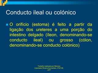 Conducto ileal ou colónico
   O orifício (estoma) é feito a partir da
    ligação dos ureteres a uma porção do
    intestino delgado (íleon, denominando-se
    conducto ileal) ou grosso (cólon,
    denominando-se conducto colónico)



                    Trabalho realizado por Mariana
                Liberdade Oliveira Guimarães, nº22108,
                                  UFP
 
