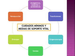 Analgésicos,
sedantes y
antibióticos
Transfusiones
Oxigenoterapia
Sondas
Drenajes
Venopunción
CUIDADOS MÍNIMOS Y
MEDIAS DE SOPORTE VITAL
 