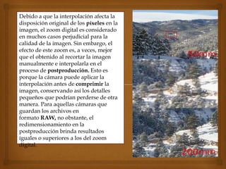 Debido a que la interpolación afecta la
disposición original de los píxeles en la
imagen, el zoom digital es considerado
en muchos casos perjudicial para la
calidad de la imagen. Sin embargo, el
efecto de este zoom es, a veces, mejor
que el obtenido al recortar la imagen
manualmente e interpolarla en el
proceso de postproducción. Esto es
porque la cámara puede aplicar la
interpolación antes de comprimir la
imagen, conservando así los detalles
pequeños que podrían perderse de otra
manera. Para aquellas cámaras que
guardan los archivos en
formato RAW, no obstante, el
redimensionamiento en la
postproducción brinda resultados
iguales o superiores a los del zoom
digital.
 