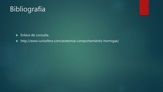 Bibliografía
 Enlace de consulta.
 http://www.curiosfera.com/anatomia-comportamiento-hormigas/
 