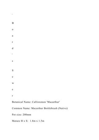 .
B
o
a
r
d
'
s
S
e
w
e
r
Botanical Name: Callistemon 'Macarthur'
Common Name: Macarthur Bottlebrush (Native)
Pot size: 200mm
Mature H x S: 1.8m x 1.5m
 