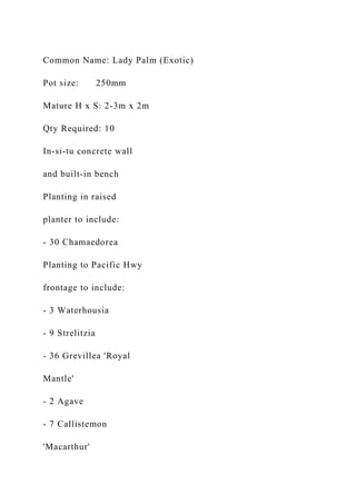 Common Name: Lady Palm (Exotic)
Pot size: 250mm
Mature H x S: 2-3m x 2m
Qty Required: 10
In-si-tu concrete wall
and built-in bench
Planting in raised
planter to include:
- 30 Chamaedorea
Planting to Pacific Hwy
frontage to include:
- 3 Waterhousia
- 9 Strelitzia
- 36 Grevillea 'Royal
Mantle'
- 2 Agave
- 7 Callistemon
'Macarthur'
 