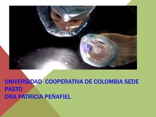 UNIVERSIDAD COOPERATIVA DE COLOMBIA SEDE
PASTO
DRA PATRICIA PEÑAFIEL
 
