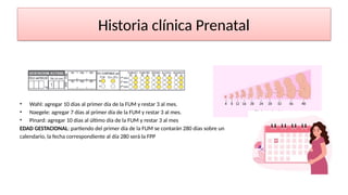 Comprehensive Prenatal Care: Guidelines, History, and Monitoring | PPTX