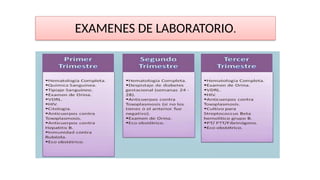 Comprehensive Prenatal Care: Guidelines, History, and Monitoring | PPTX