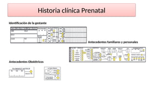 Comprehensive Prenatal Care: Guidelines, History, and Monitoring | PPTX