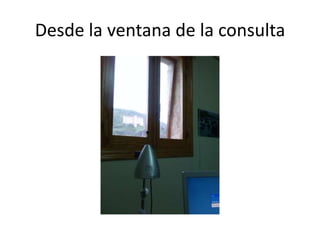 Desde la ventana de la consulta
 