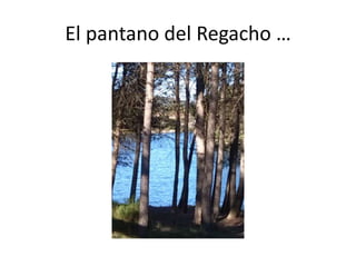 El pantano del Regacho …
 