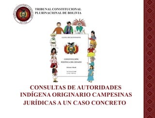 TRIBUNAL CONSTITUCIONAL
PLURINACIONAL DE BOLIVIA
CONSULTAS DE AUTORIDADES
INDÍGENA ORIGINARIO CAMPESINAS
JURÍDICAS A UN CASO CONCRETO
 