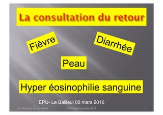 Diarrhée
Peau
Hyper éosinophilie sanguine
D. Chabasse et L de Gentile Pathologies au retour 2016 1
EPU- Le Bailleul 08 mars 2016
 