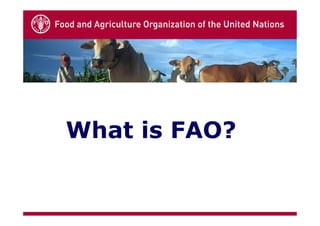What is FAO?
 