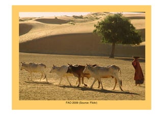 FAO 2009 (Source: Flickr)
 