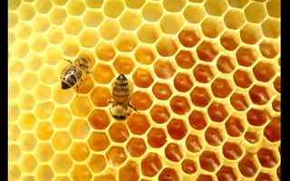 ÚL 2014: Logio Consulting