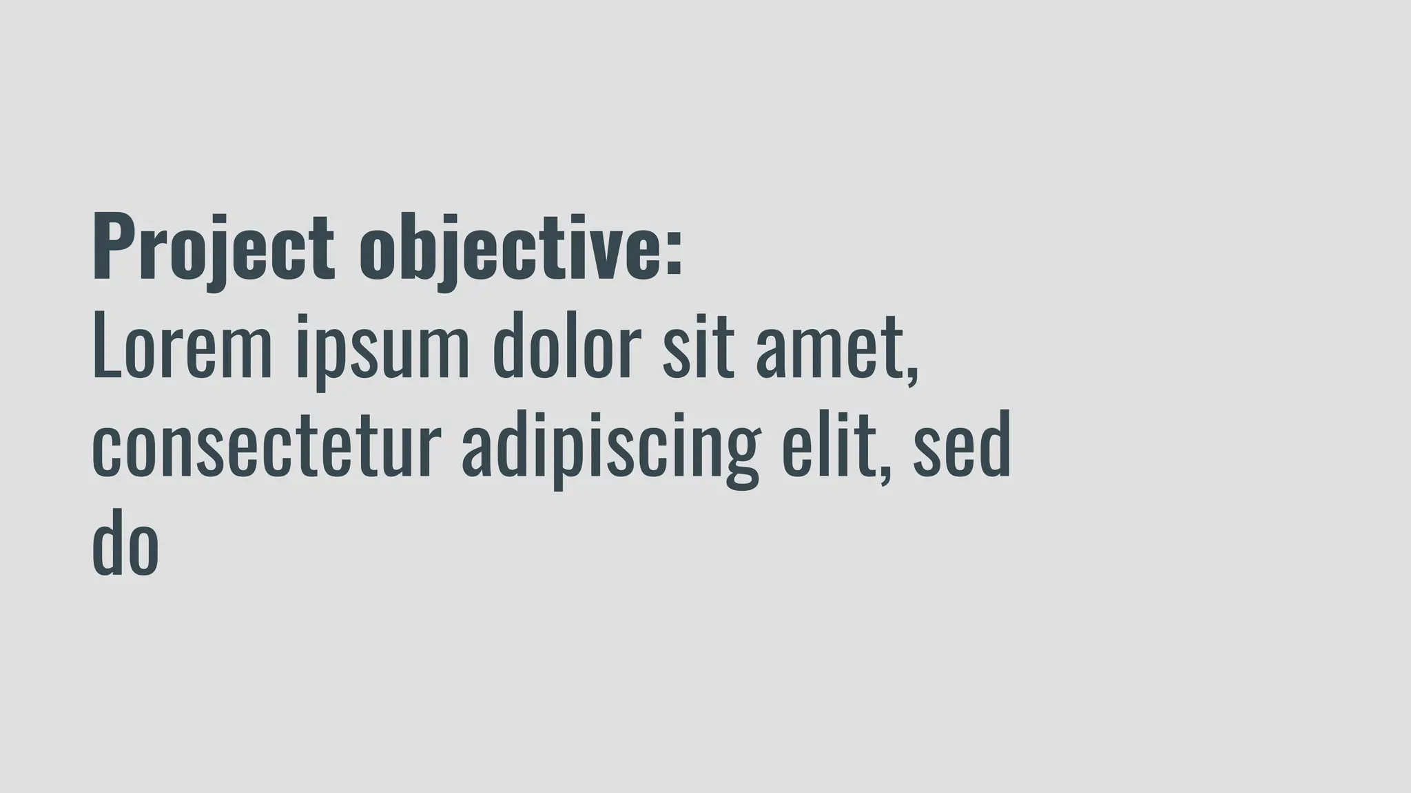 Project objective:
Lorem ipsum dolor sit amet,
consectetur adipiscing elit, sed
do
 