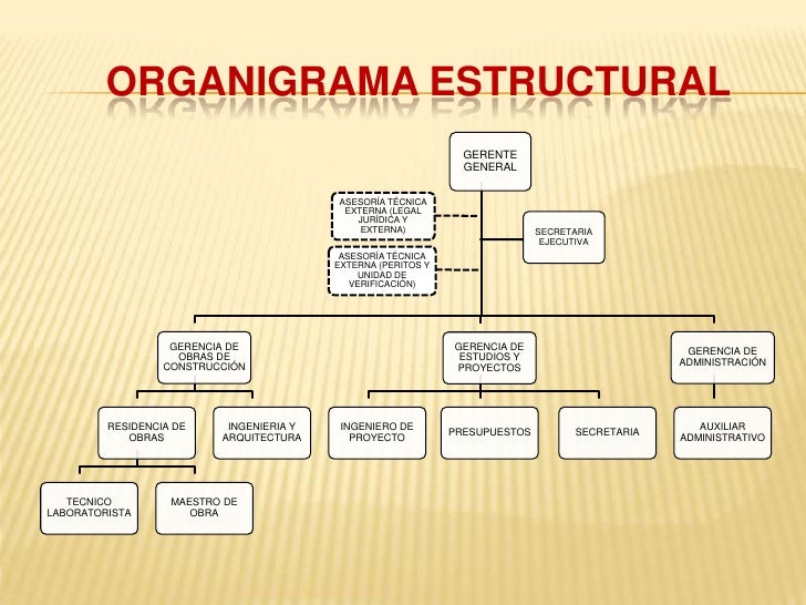 Consultora y constructora 3 jr