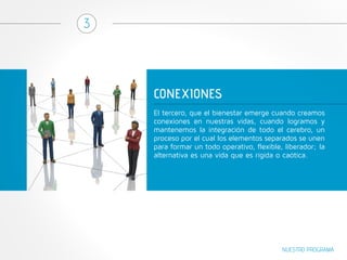 CONEXIONES 
3 
El tercero, que el bienestar emerge cuando creamos 
conexiones en nuestras vidas, cuando logramos y 
mantenemos la integración de todo el cerebro, un 
proceso por el cual los elementos separados se unen 
para formar un todo operativo, flexible, liberador; la 
alternativa es una vida que es rígida o caótica. 
NUESTRO PROGRAMA 
 