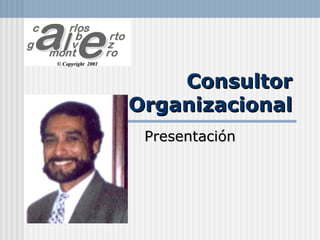 Presentación Consultor Organizacional 